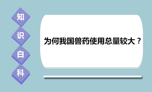 Why is the total amount of veterinary drugs used larger in China?